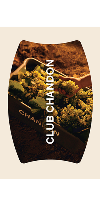 OCTOBER 2024 CLUB NEWSLETTER 