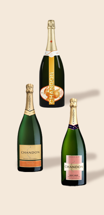 Lot De 6 Coupes À Champagne midnight Garden 25cl Transparent à