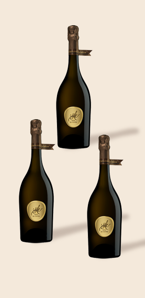Étoile Tasting Set