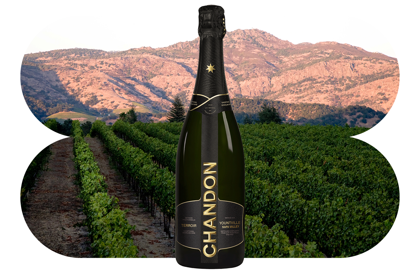 Our Collection  CHANDON California