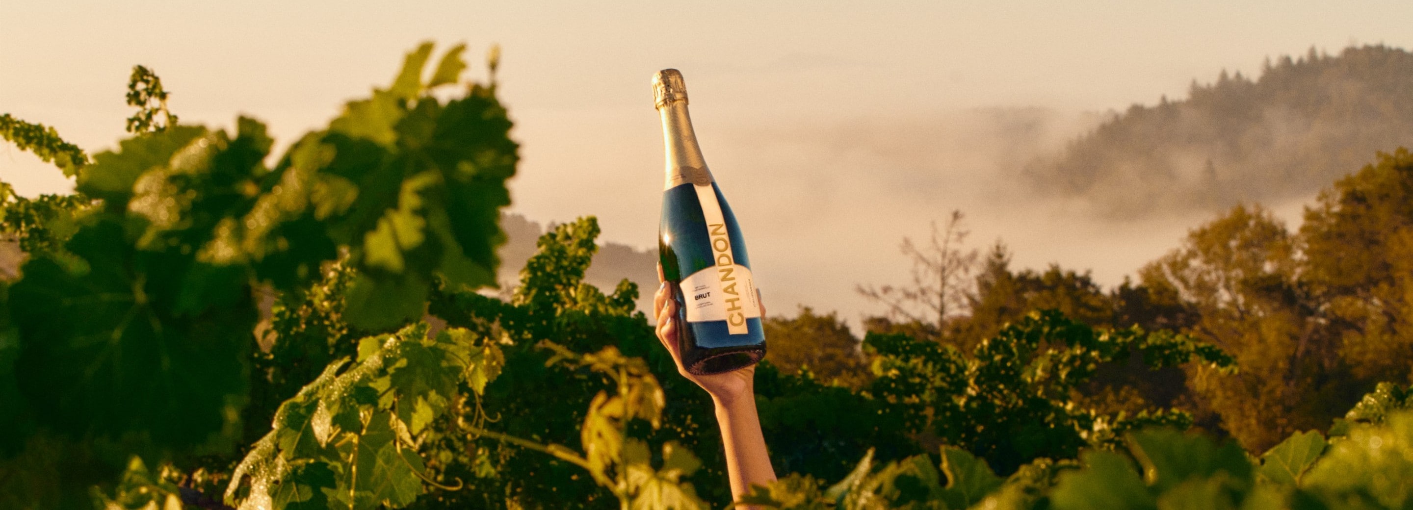 Join us for Les Journ&eacute;es Particuli&egrave;res, a rare invitation to step inside the world of CHANDON. As part of LVMH's global celebration of craftsmanship, discover the people, vineyards, and sparkling winemaking savoir-faire that define our heritage and every bottle.