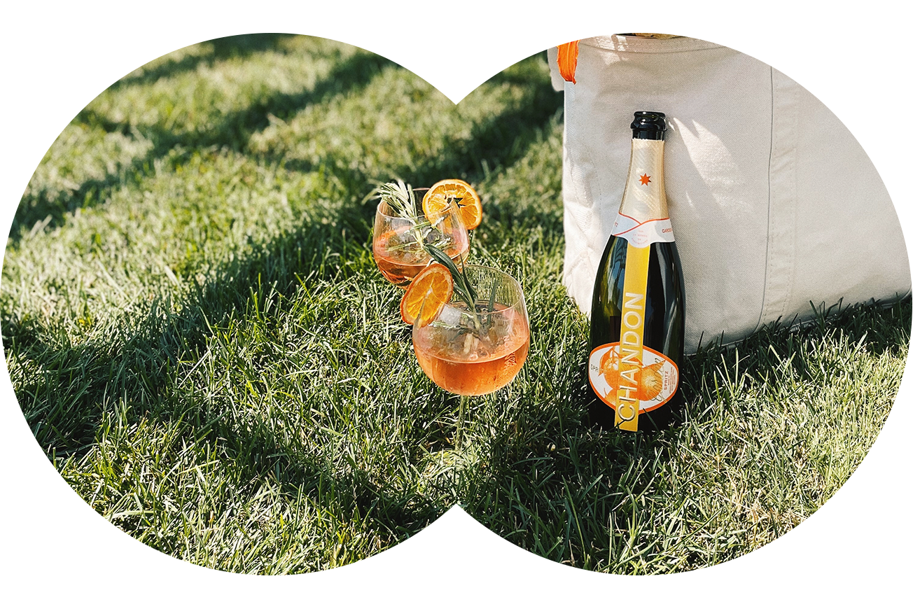 Garden Spritz with two glasses