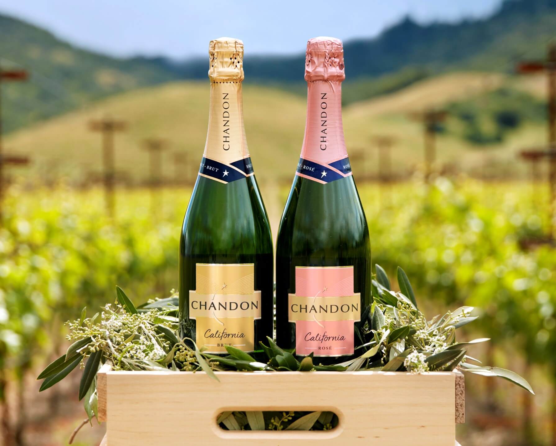 SIGNATURE COLLECTION | Domaine Chandon US