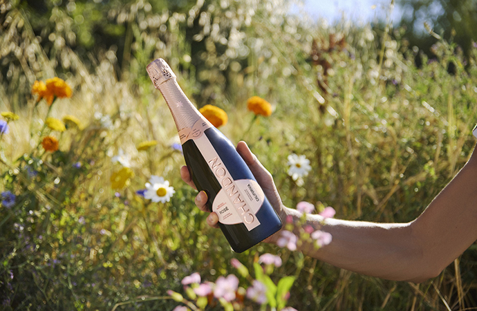 Join us as we explore the journey of bees through our vineyards as you peek into an active hive. You’ll sample a trio of CHANDON wines paired with small bites highlighted with honey from our estate.
﻿SUNDAY, MAY 19
