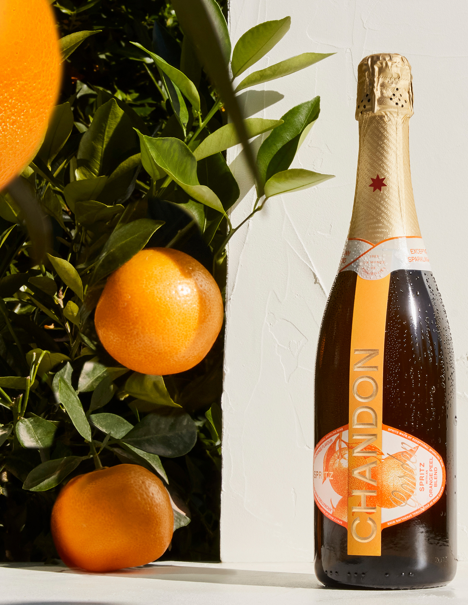 Sparkling Wines