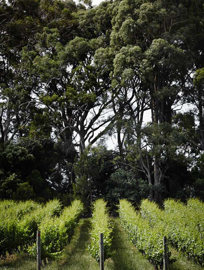 What Is Terroir
