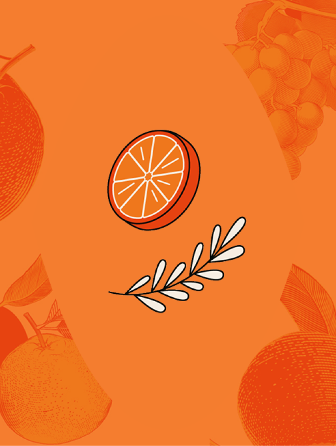 Illustration of an orange slice and a rosemary sprig, with faint outlines of fruit and leaves in the background.