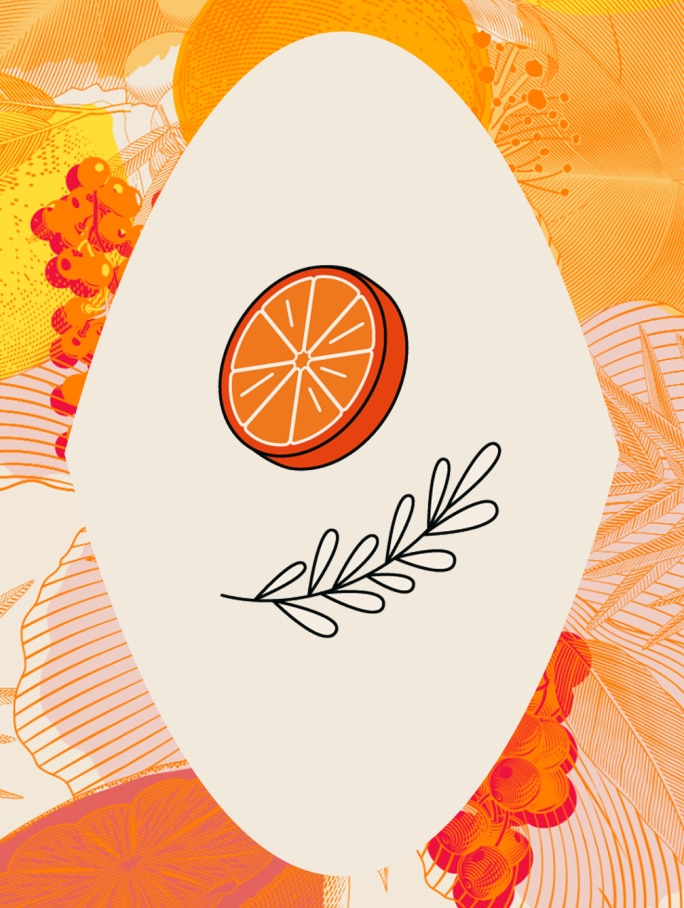 Icône stylisée d'une tranche d'orange et contour noir d'un brin de romarin, placée sur un fond orange orné de motifs gravés de fruits et de fleurs. Représente les ingrédients naturels d'orange herbes et  épices entrant dans la composition du Chandon Spritz, améliorant l'attrait visuel des profils de saveur.