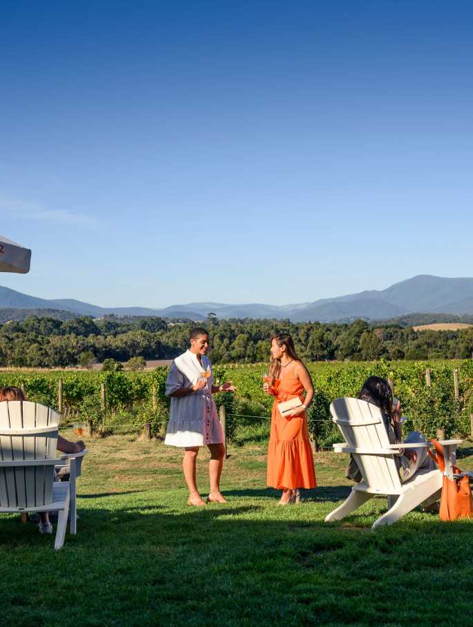 TERRACE VIEW SPECTACULAR CHANDON VINEYARDS