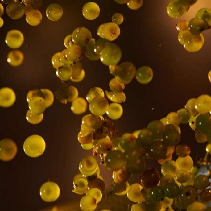 Top Rated Sparkling Wine