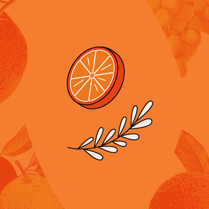 Illustration of an orange slice and a rosemary sprig, with faint outlines of fruit and leaves in the background.
