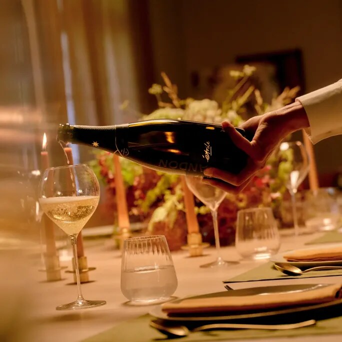 A private event in CHANDON Australia BrandHome