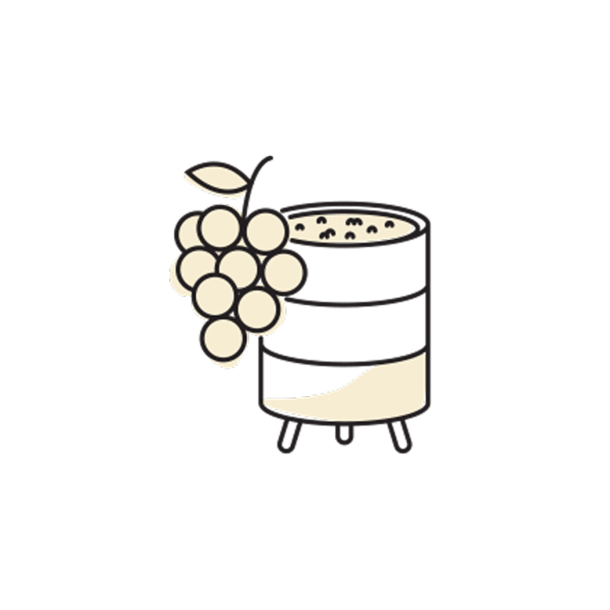 Ilustaciones-1st-Fermentation