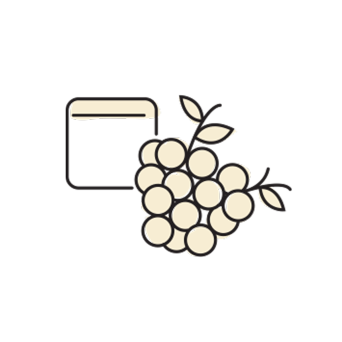 Ilustaciones-Harvest