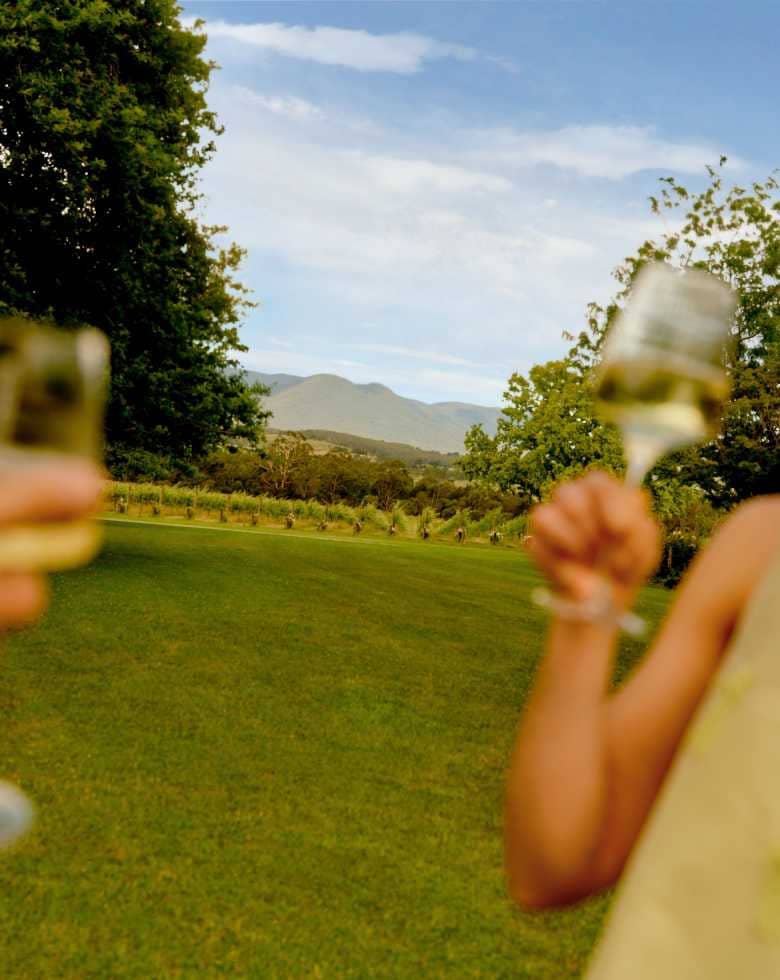 chandon cheers view