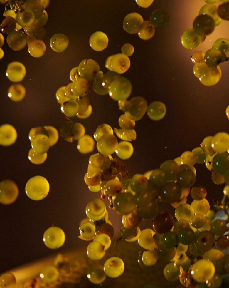 Top Rated Sparkling Wine
