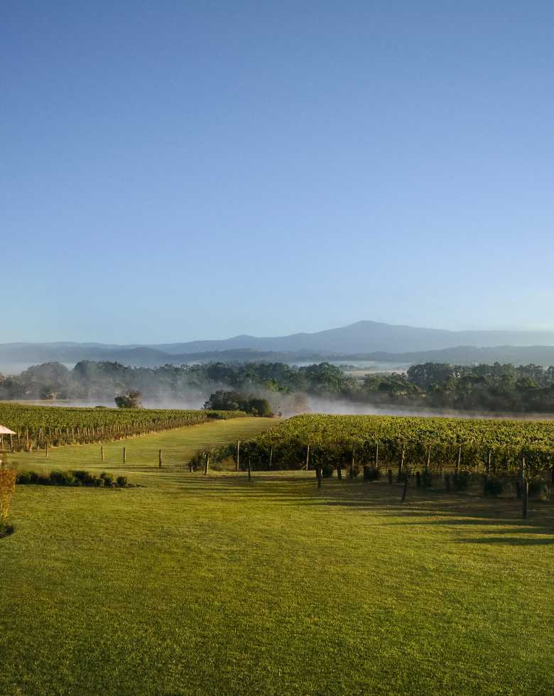 The CHANDON Australia BrandHome