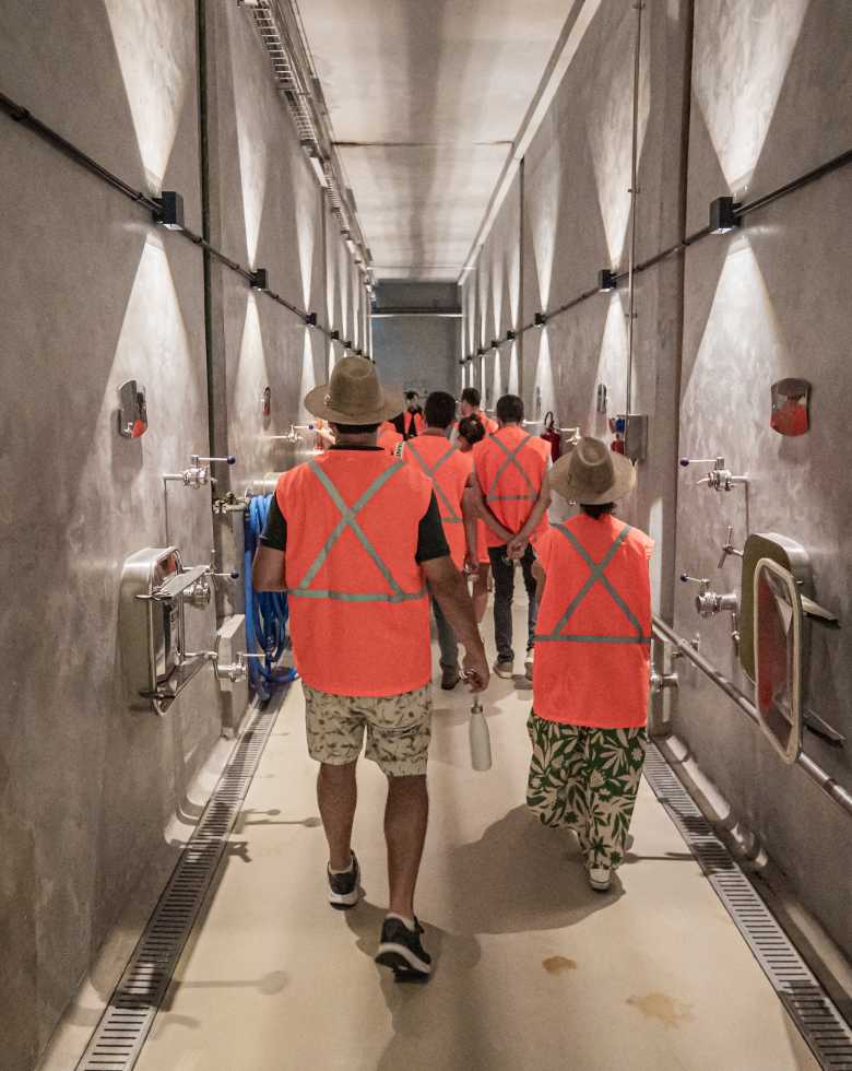 Grupo de pessoas que visitam o site CHANDON Brasil
