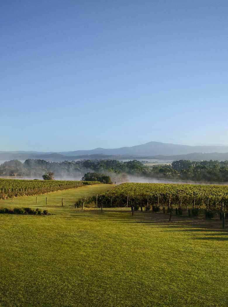 The CHANDON Australia BrandHome