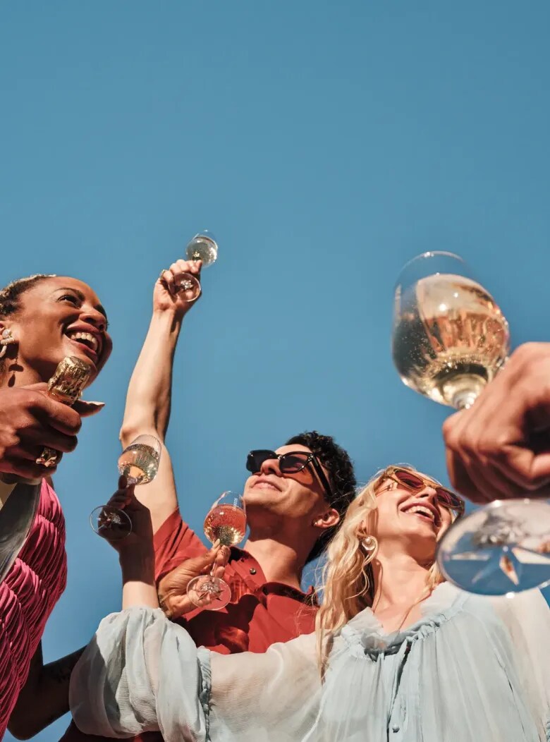 Amigos brindando con copas de espumante Chandon bajo el cielo de Mendoza.
