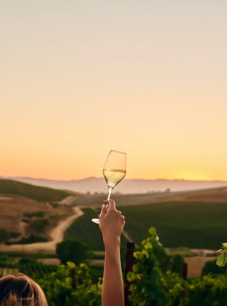 Vaso de CHANDON Cuvée Blancs de Blancs en las viñas