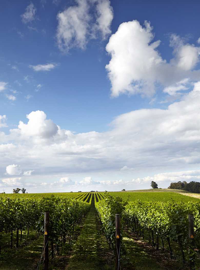 What Is Terroir