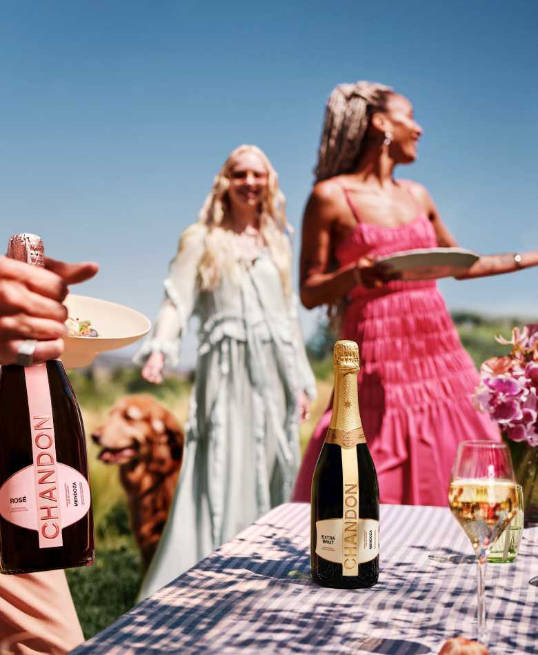 Amigos y un perro disfrutando un almuerzo soleado con botellas de espumante CHANDON Rosé y Extra Brut Mendoza en la mesa.