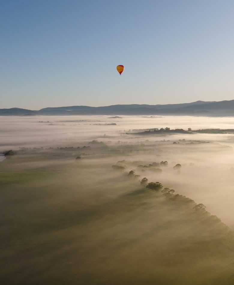 Sustainability at CHANDON | Responsible Winemaking