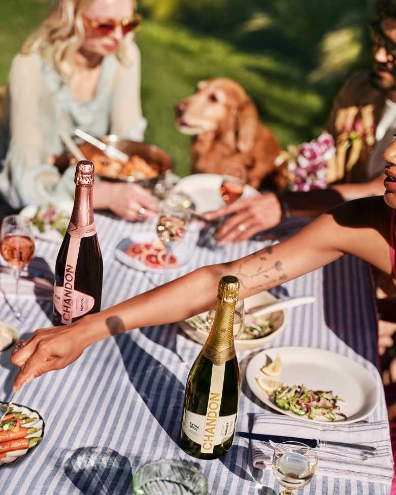 A group of diverse friends and a dog gathered around an outdoor table set with a blue and white striped tablecloth, enjoying a meal and drinks, including bottles of CHANDON sparkling wine (Rosé and Brut), with one person pointing to a dish of roasted carrots.