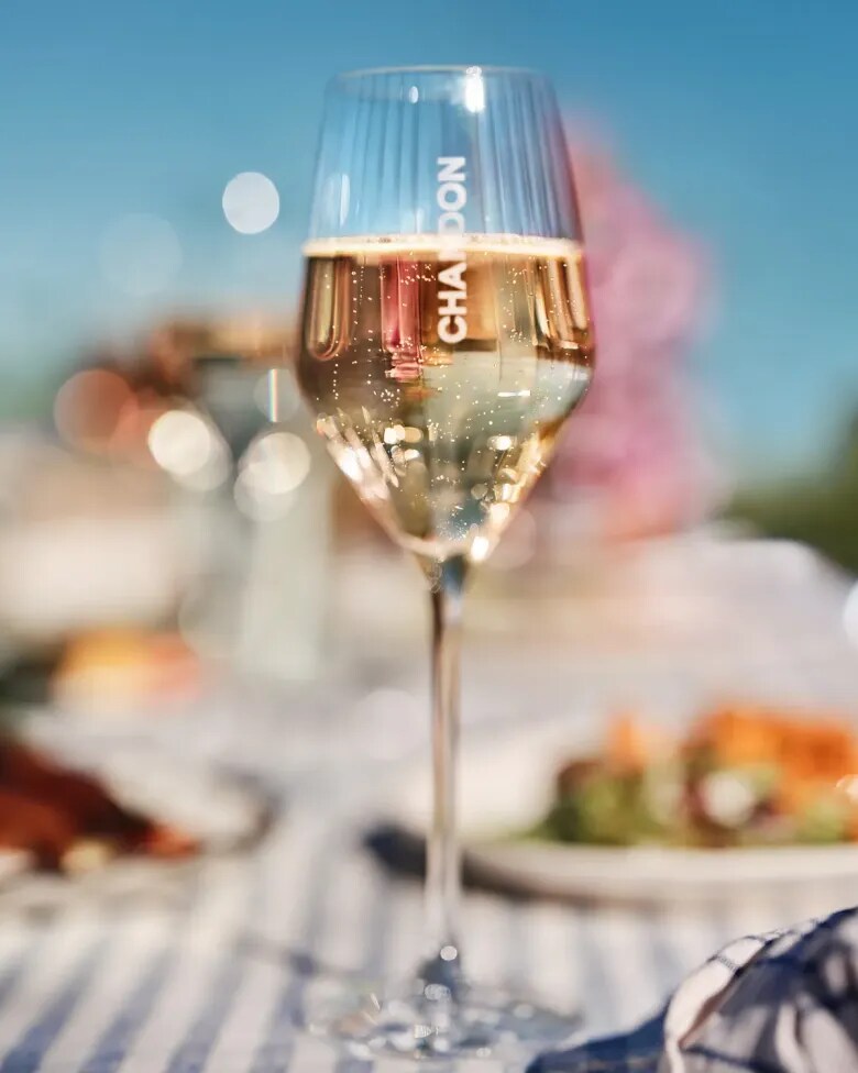 Vaso de CHANDON Brut durante un picnic