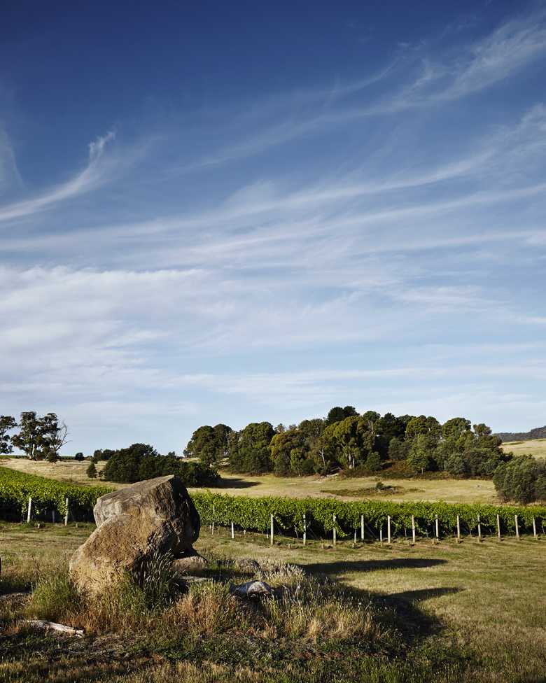 Celebrating Australian Sparkling Excellence