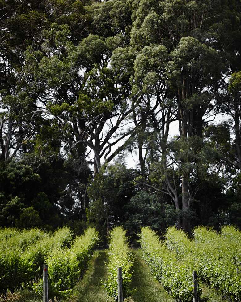 What Is Terroir