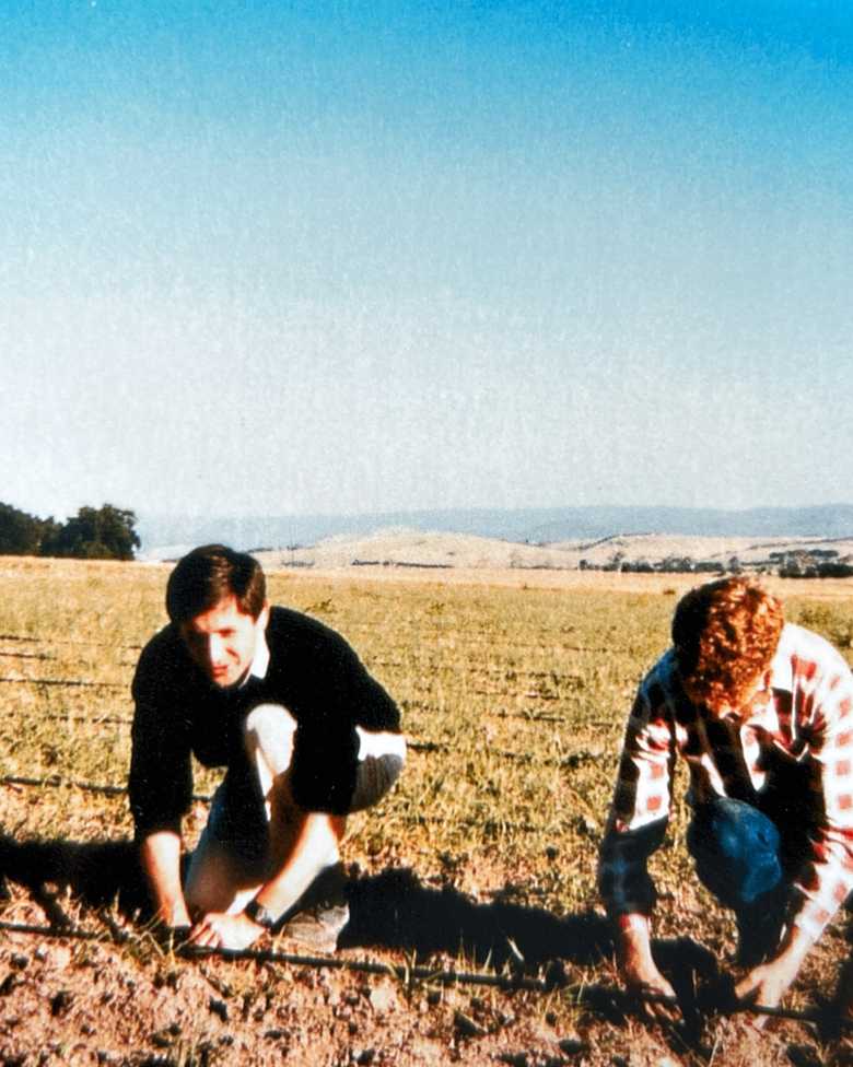 chandon yarra valley history vineyards sparkling wine australia