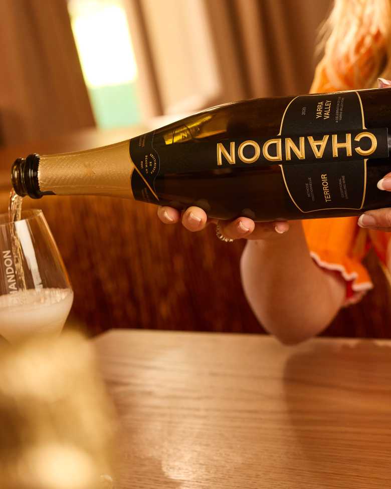 POURING A GLASS OF SPARKLING WINE 