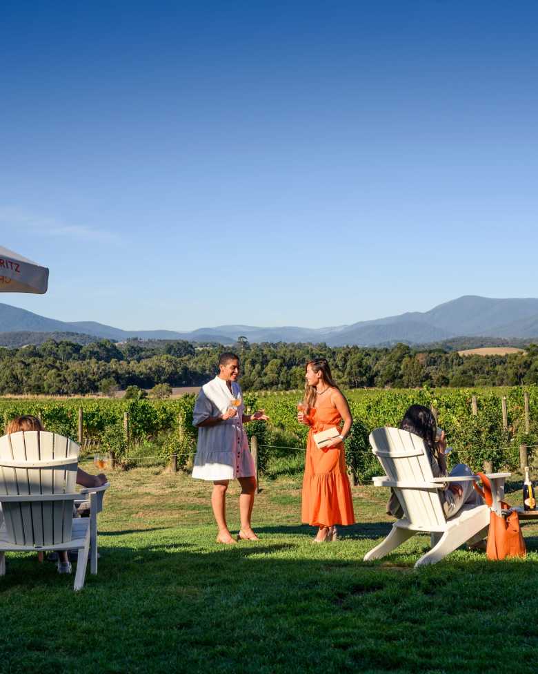 chandon iconic winery view beautiful scenery vineyards yarra valley mountain ranges view scenery winery sparkling wine